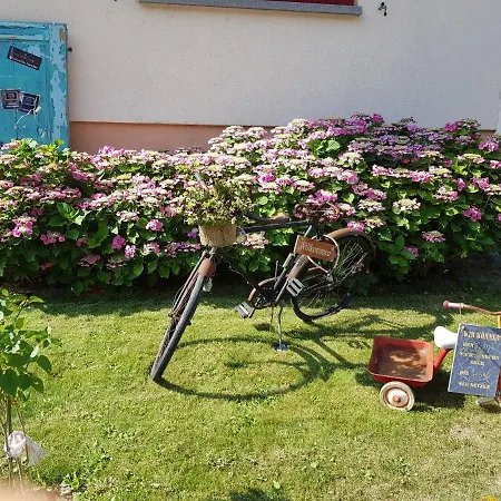 Schabby-schule
